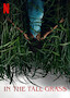 In the Tall Grass